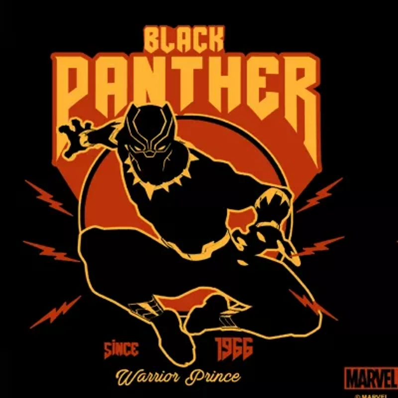 Disney Collection Black Panther Lighting 17 Oz Stainless Steel Bottle