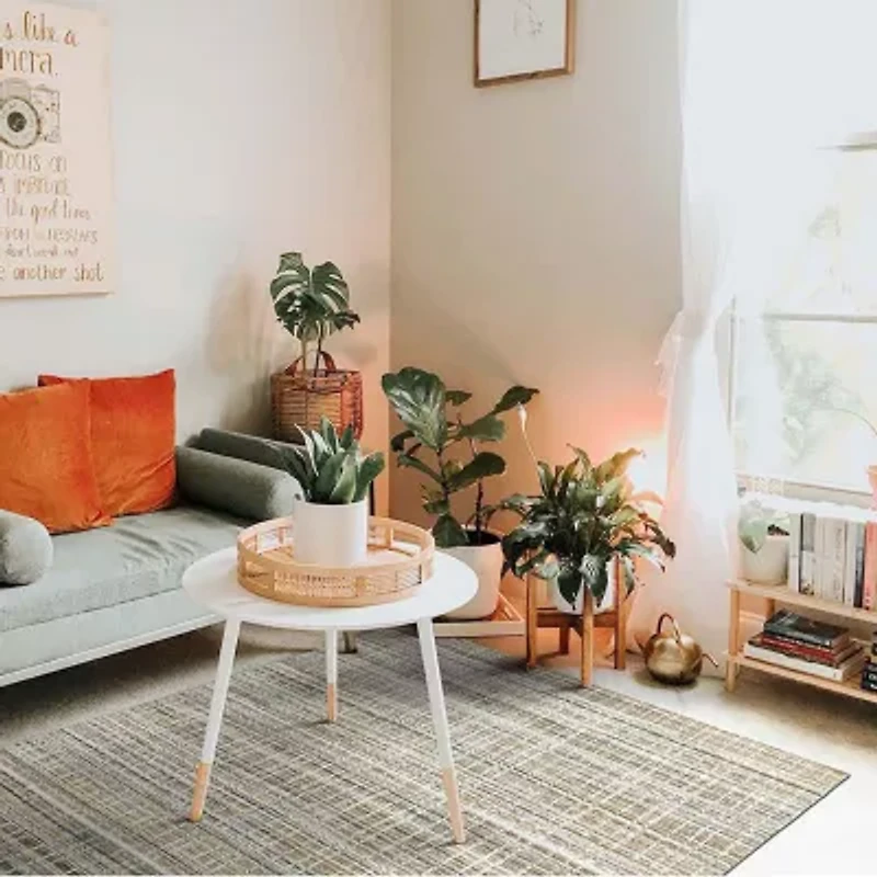 Amer Rugs Paradise Geometric Hand Woven Indoor Rectangle Accent Rug