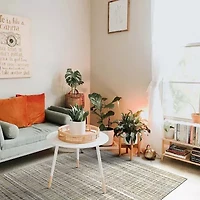 Amer Rugs Paradise Geometric Hand Woven Indoor Rectangle Area Rug