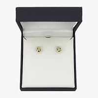 Gold Addiction 10K Gold 12mm Stud Earrings
