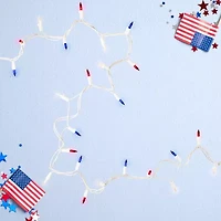 Northlight 20ft Mini String Lights