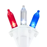Northlight 32.75ft Led Mini String Lights