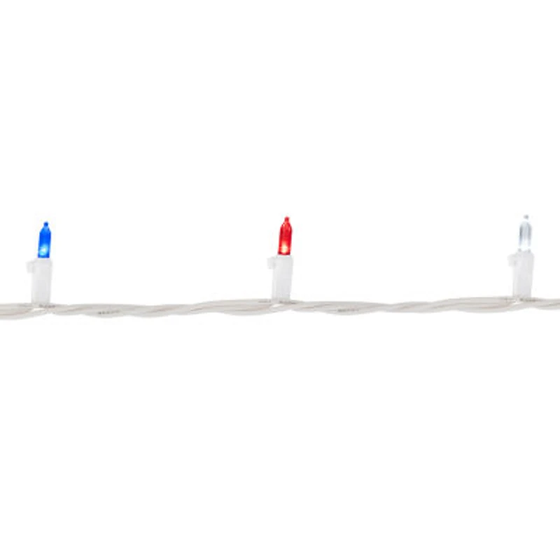 Northlight 32.75ft Led Mini String Lights