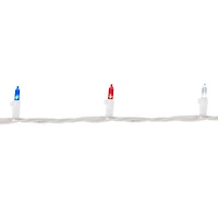 Northlight 32.75ft Led Mini String Lights