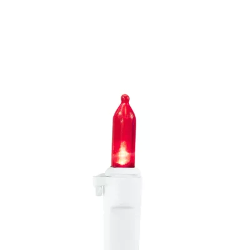 Northlight 32.75ft Led Mini String Lights