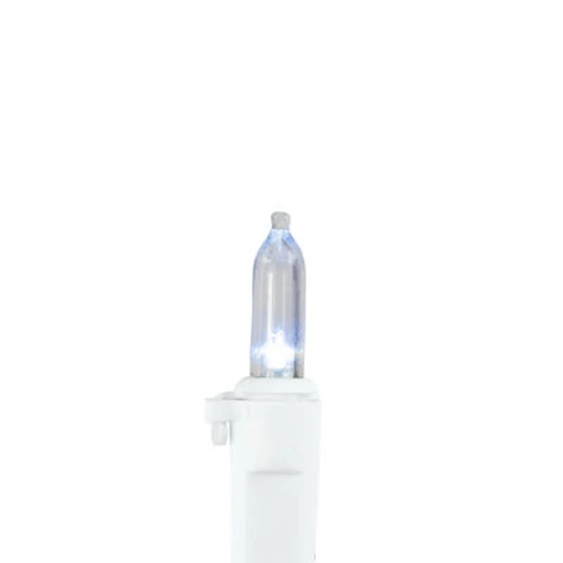 Northlight 32.75ft Led Mini String Lights