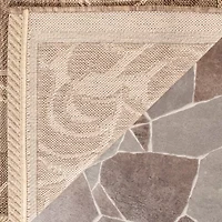 Safavieh Nazca Oriental Indoor Outdoor Rectangular Accent Rug