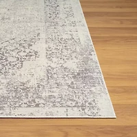 LR Home Aris Medallion Indoor Rectangular Area Rug