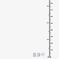 Ever Star (G / Si2-I1) 1 CT. T.W. Lab Grown White Diamond 10K White Gold Stud Earrings