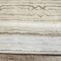 Radici Davide Bordered Indoor Rectangular Accent Rug