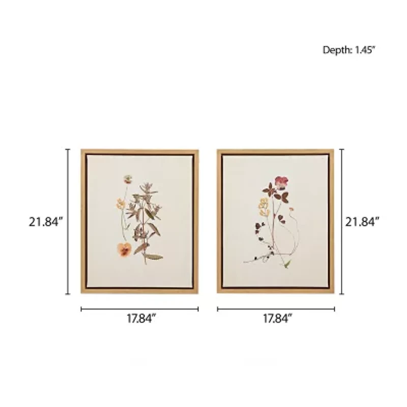 Madison Park French Herbarium 2-pc. Framed Wall Art Sets