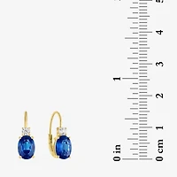 Gemstone 10K Gold Oval Drop Earrings