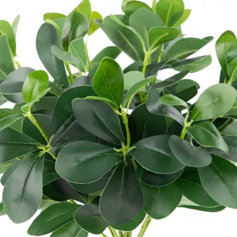 18'' Decorative Artificial Green Two Tone Polyscias Floral Bush