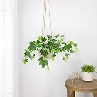 23.75'' Decorative Green and White Ivy Spring Floral Hanging Bush