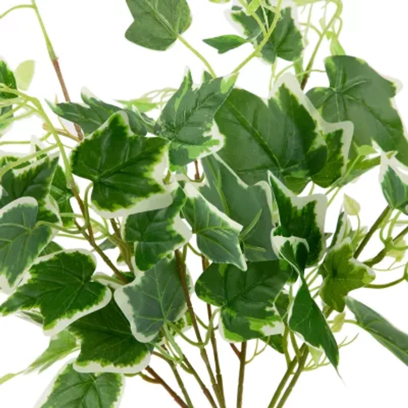 23.75'' Decorative Green and White Ivy Spring Floral Hanging Bush