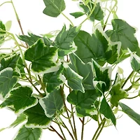 23.75'' Decorative Green and White Ivy Spring Floral Hanging Bush