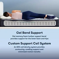 Serta Perfect Sleeper Adoring Night 10.5" Firm Tight Top - Mattress Only