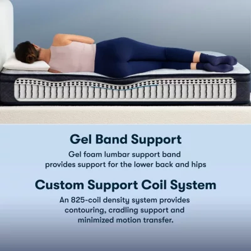 Serta Perfect Sleeper Adoring Night 11" Plush Euro Top - Mattress Only