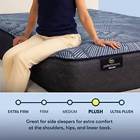 Serta Perfect Sleeper Euphoric Nights 14" Hybrid Plush - Mattress Only
