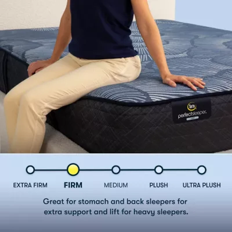 Serta Perfect Sleeper Euphoric Nights 14" Hybrid Firm - Mattress Only