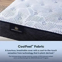 Serta Perfect Sleeper Blue Lagoon Nights 13.5" Plush Tight Top - Mattress + Box Spring