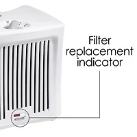 Hamilton Beach® True Air® Room Odor Eliminator