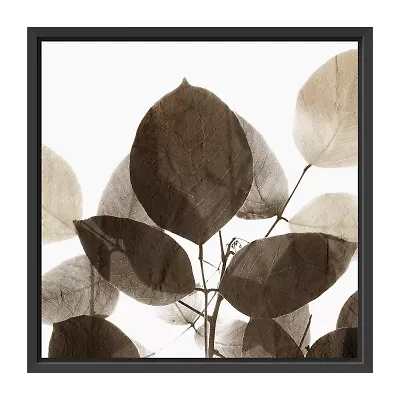 Lumaprints Chocolate Leaves 1 Framed Canvas Art