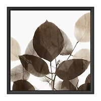 Lumaprints Chocolate Leaves 1 Framed Canvas Art