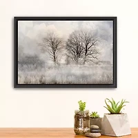 Lumaprints Winter Frost 3 Framed Canvas Art