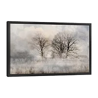 Lumaprints Winter Frost 3 Framed Canvas Art