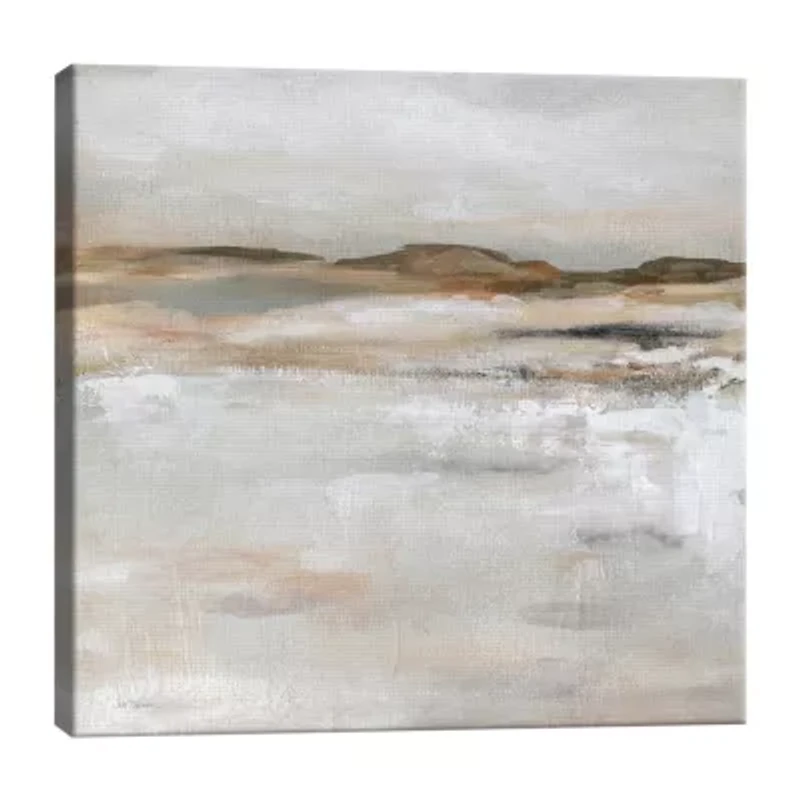 Lumaprints Desert Floor Canvas Art