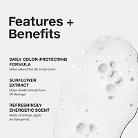 Paul Mitchell Color Protect Shampoo oz
