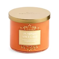 Distant Lands Pumpkin Spice Cake 3-Wick Scented Jar Candle
