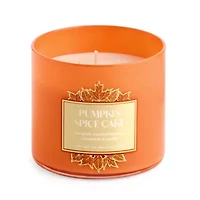 Distant Lands Pumpkin Spice Cake 3-Wick Scented Jar Candle