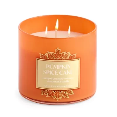 Distant Lands Pumpkin Spice Cake 3-Wick Scented Jar Candle
