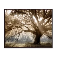 Streamline Art Virginia Oak Printed Framed Canvas Art