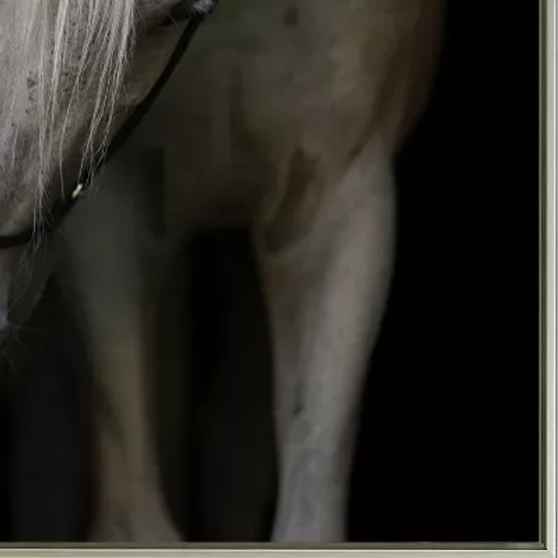 Streamline Art Mystical Horse Printed Framed Canvas Art