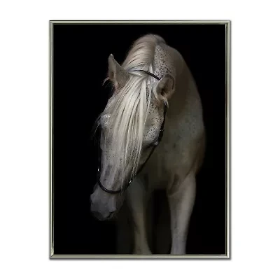 Streamline Art Mystical Horse Printed Framed Canvas Art