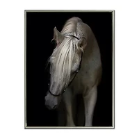 Streamline Art Mystical Horse Printed Framed Canvas Art