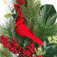 Martha Stewart Cardinal Pick
