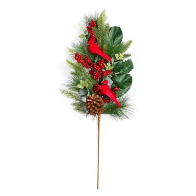 Martha Stewart Cardinal Pick