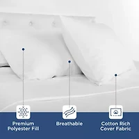 Martex Sweet Dreams 2 Pack Soft/Medium Density Bed Pillow