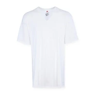 Hanes Fresh Iq Mens 5 Pack Short Sleeve V Neck T-Shirt Big and Tall