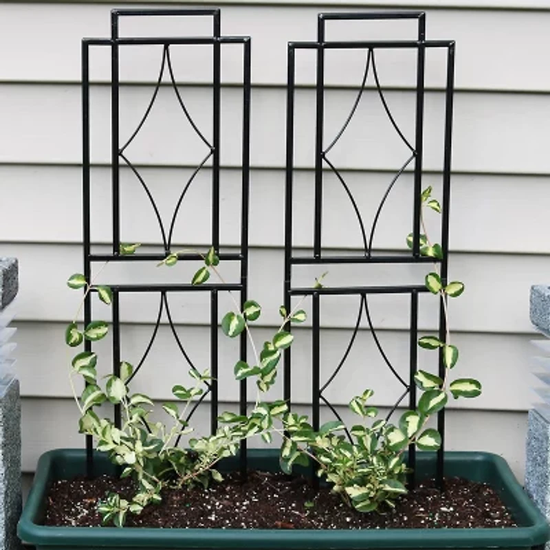 Net Health Shops Contemporary Metal 2-pc. Garden Trellis
