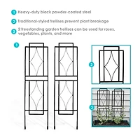 Net Health Shops Contemporary Metal 2-pc. Garden Trellis