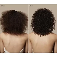 Paul Mitchell Tea Tree Lavender Mint Curl Refresh Foam Hair Mousse 6.8 oz.