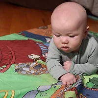 Pipp & Spalding™ Seek And Find Tummy Time Blanket Play Mat