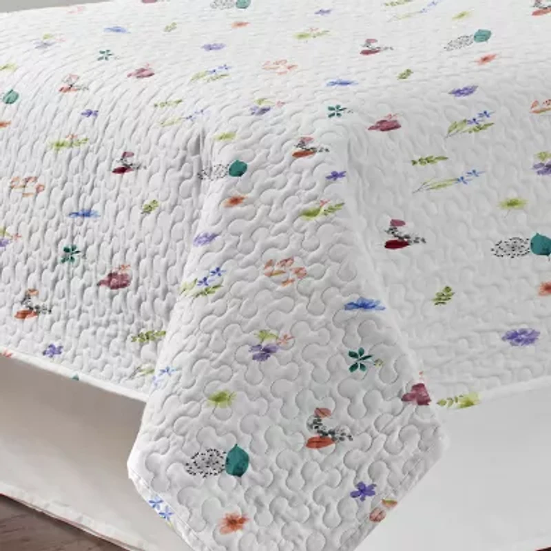 Pointehaven Percale Printed Scroll Design Reversible Quilt Set