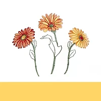 Achim Gerbera 3-pc. Rod Pocket Window Tier