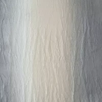 Achim Ombre Rod Pocket Light-Filtering Single Curtain Panel